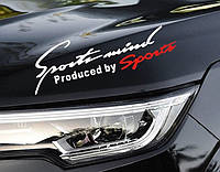 Наклейки на авто ARB 3D TUNING STUDIO Спорт Sports Mind produced by sports W 300х105х0.15мм=2штуки