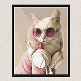 Картина за номерами Ді-Джей 40*50 см Рив'єра Бланка RB-0188, фото 4