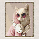 Картина за номерами Ді-Джей 40*50 см Рив'єра Бланка RB-0188, фото 5