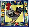 Набір для вишивання за нанесеною на канву схемою "The cock". AIDA 14CT printed 38*38 см, фото 10
