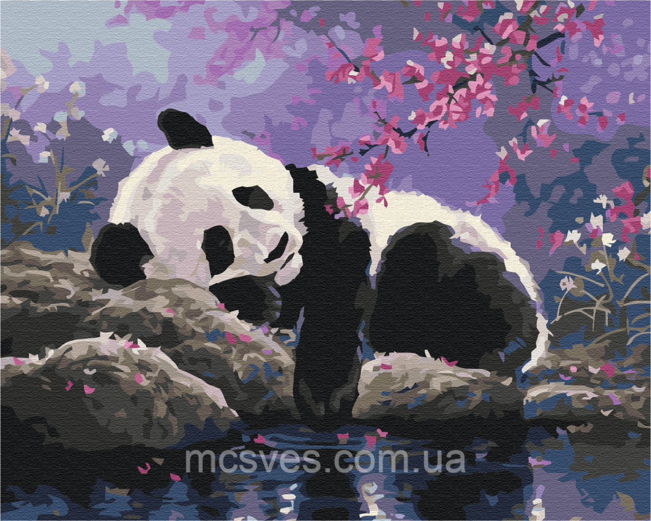 Картина за номерами "Солодкий сон панди" BS25108 40х50, фото 1