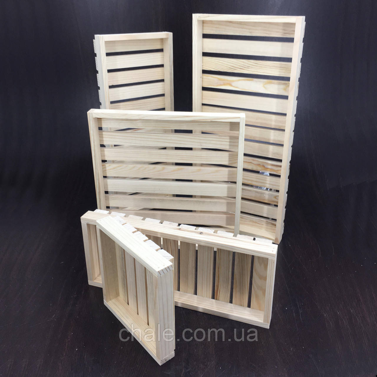 Лоток рейковий 25*45*4см
