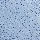 Чай матча синій анчан тайський блакитна маття веган на кокосових вершках Navu без цукру 100 г, фото 6