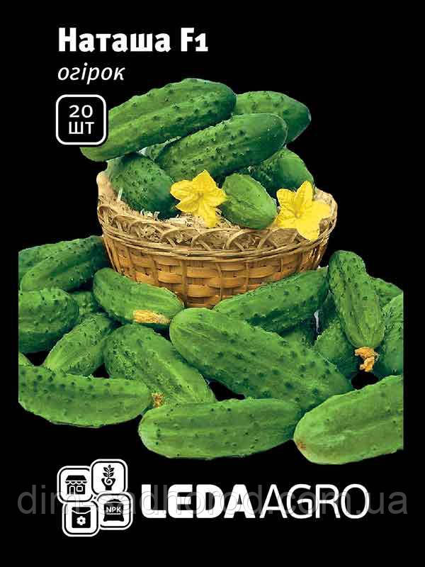Насіння огірка  Наташа F1 Leda Agro,  фасування 20шт., фото 1