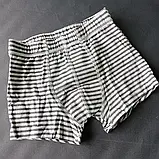 Комплект бавовняних трусиків-боксерів (3 шт.) на хлопчика Migros р.110/116, фото 3