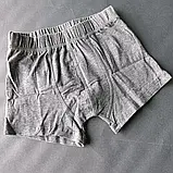 Комплект бавовняних трусиків-боксерів (3 шт.) на хлопчика Migros р.110/116, фото 5