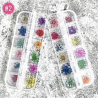 Набор сухоцветов для дизайна ногтей №2