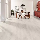 Ламинат Krono Original Дуб Мисти Стерлинг 8/32 К484, фото 4