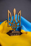 Тризуб на полицю металевий на підставці позолочений, фото 2