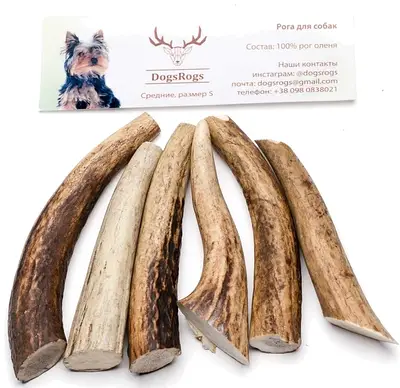 Ласощі для собак Ріг «DogsRogs»