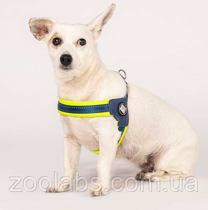 Шлея для собаки Max & Molly Q-Fit Harness Matrix Lime, фото 4