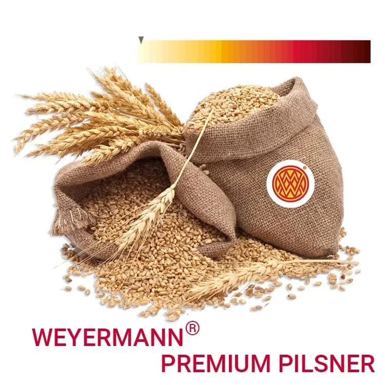 Солод ячмінний Premium Pilsner Malt - Пільзнер 1 кг - Weyermann Німеччина - базовий солод для пивоваріння, фото 1