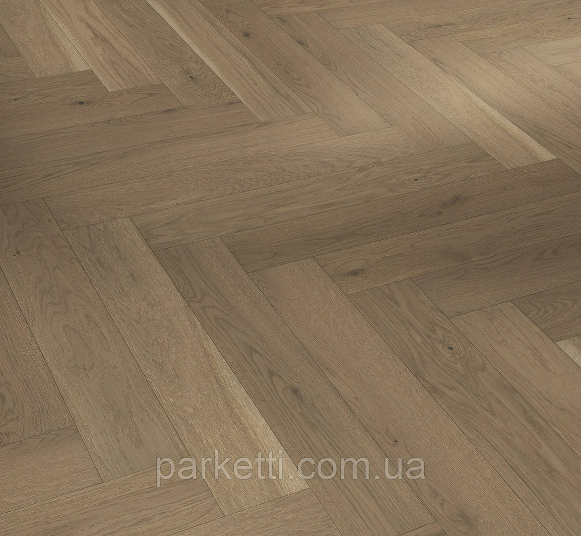 Parador 1739933 Trendtime 3 Дуб nougat Лівінг матовий лак, паркетна дошка, фото 1