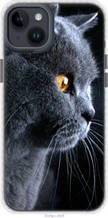 Чохол на iPhone 14 Plus Гарний кіт "3038pm-2645-851"