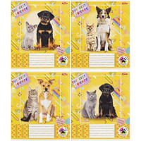 Від 20 шт. Зошит кольоровий 12 аркушів, лінія 3361 N  купити дешево оптом в інтернет-магазині