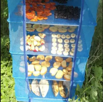 Сушарка для грибів, фруктів, риби, 40*40 см, 3 полиці