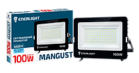 Прожектор ENERLIGHT MANGUST 100Вт 6500K