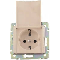 Розетка із заземленням і кришкою, слонова кістка — Legrand Valena (774322)