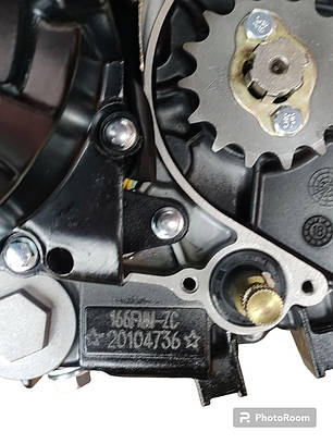 Двигун CB250 (166FMM) з балансувальним валом, фото 2