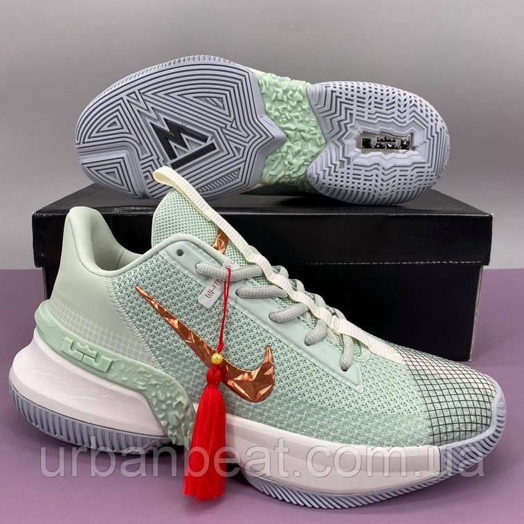 Чоловічі баскетбольні кросівки Nike Lebron Ambassador 13 Mint, фото 1