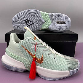 Чоловічі баскетбольні кросівки Nike Lebron Ambassador 13 Mint 43