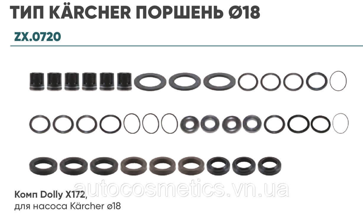 Ремкомплект клапанів та ущільнювачів насоса D18 Kaercher HDS 2.883-172.0