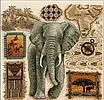 Набір для вишивання за нанесеною на канву схемою "African elephant". AIDA 14CT printed 45*44 см, фото 2