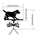 Флюгер Пес лабрадор, флюгер на дах з металу 2 мм., фото 2