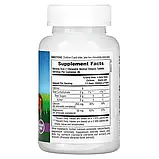 NaturesPlus, Source of Life, Animal Parade, кальцій для дітей, без цукру, смак ванільного морозива, 90 таблеток, фото 2