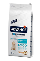 Сухой корм для щенков крупных пород Advance Dog Puppy Maxi 12 кг 8410650221502