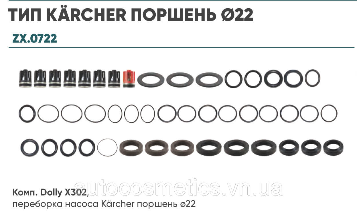 Ремкомплект клапанів та ущільнювачів насоса D22 Kaercher HDS 2.883-302.0 - фото 1 - id-p1858718778