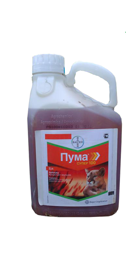 Пума Супер (10л)