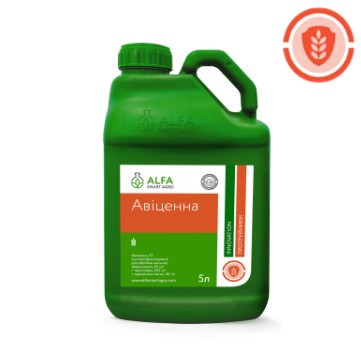 Авіценна 5л Протруйник для пшениці ALFA Smart Agro трьохкомпоненнтний фунгіцидний протруйник від сажки