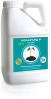 Протравитель Авангард Старт 5л Укравит, для листовой подкормки растений, Азот, фосфор, калий, кальций