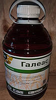 Гербіцид для ріпаку Галеас 5л Ранголи проти однорічних, багаторічних дводольних бур'янів