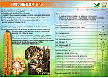 Насіння кукурудзи Порумбень МРФ 375 ФОА 300, ранньостигла кукурудза Молдавської селекції інституту, фото 2