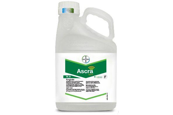 Фунгіцид Аскро Xpro 5л BAYER трикомпонентний фунгіцид для пшениці і ячменю