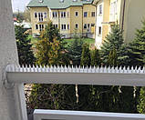 Шипи пластикові від птахів 5м, білий, фото 3