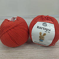 Картопу Амігурумі (Kartopu Amigurumi) 50г/165м К1170 корал