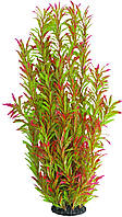 Искусственное растение, Nomaphila stricta, зелёно-розовое, 55 см, для аквариума.