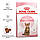 АКЦІЯ! Royal Canin Kitten Sterilised (Стерилайзед) корм для стерилізованих кошенят 2КГ+4 пауча У ПОДАРУНОК!, фото 8