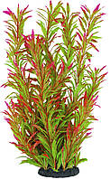 Искусственное растение, Nomaphila stricta, зелёно-розовое, 40 см, для аквариума.