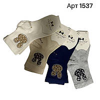 Набір 3 шт Дитячі шкарпетки для дівчинки Pier Lone демісезонні Арт 1537