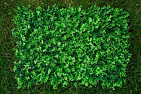 Декоративное зеленое покритые "Эвкалипт" 60x40см, высота 6см