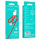 Кабель Type-C - Type-C 60Вт Borofone BX60 Superior, фото 2