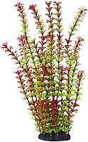 Искусственное растение, Ambulia, красно-зелёное, 38 см, для аквариума.