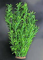 Растение искусственное, Nomaphila stricta, зелёная, 55 см. Декоративные растения для аквариума