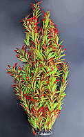 Растение искусственное, Nomaphila stricta, красно-зелёная, 55 см. Дизайн аквариума с растениями.