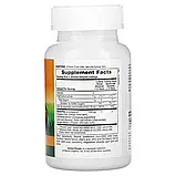 NaturesPlus, Source of Life, Animal Parade, Kid Zinc, пастилки для дітей із цинком, смак мандарина, 90 пастилок, фото 2