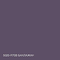 Фарба Акрил-латексна Фасадна Skyline 5020-R70B (C) Баклажан 1л, фото 5